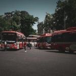 Illustrative parked buses, not necessarily GSRTC Diwali bus services